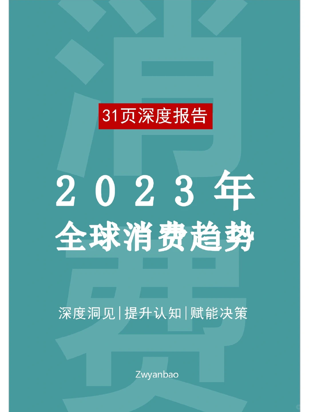 31页深度报告|23年全球消费者趋势