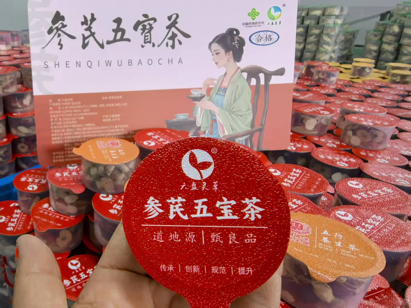 六盘灵草