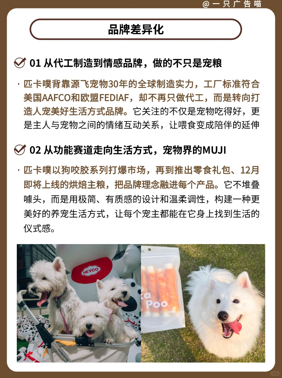 匹卡噗品牌洞察✨用创新思维重构人宠关系