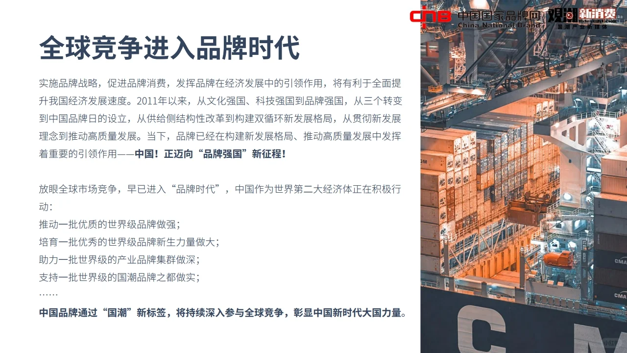 2022国潮品牌发展洞察报告行业报告研究