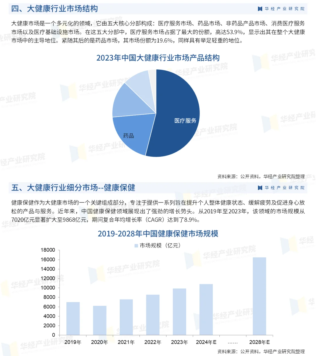 2025年中国大健康行业市场投资战略咨询报告