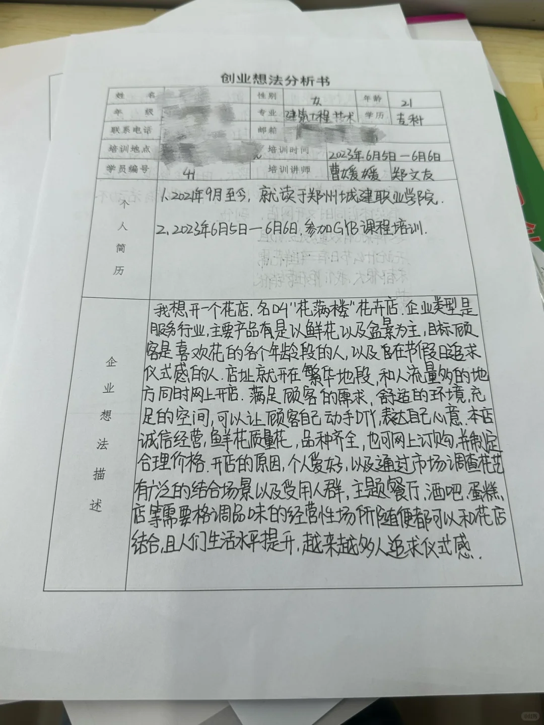创业想法分析书
