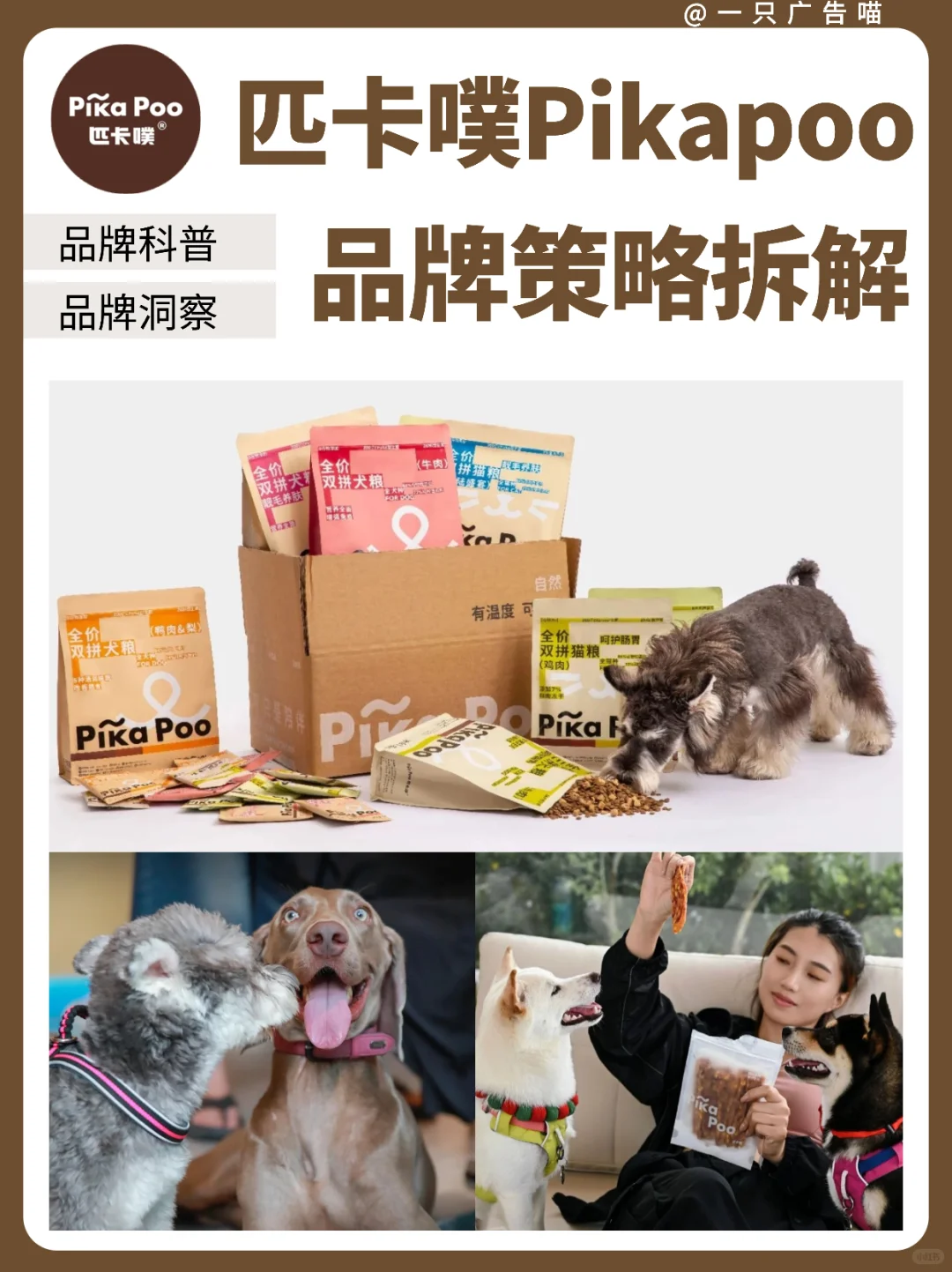 匹卡噗品牌洞察✨用创新思维重构人宠关系