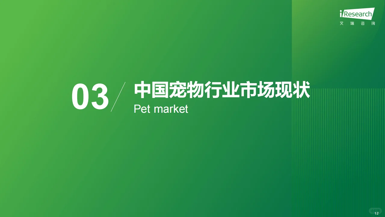2024中国宠物行业趋势分析??