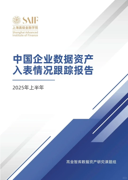 数据资产入表2025半年报告（上市公司）