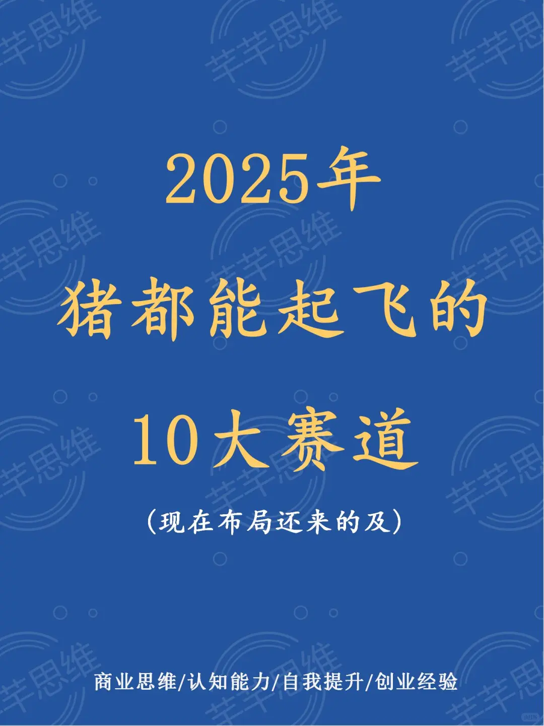2025年猪都能起飞的10大赛道???