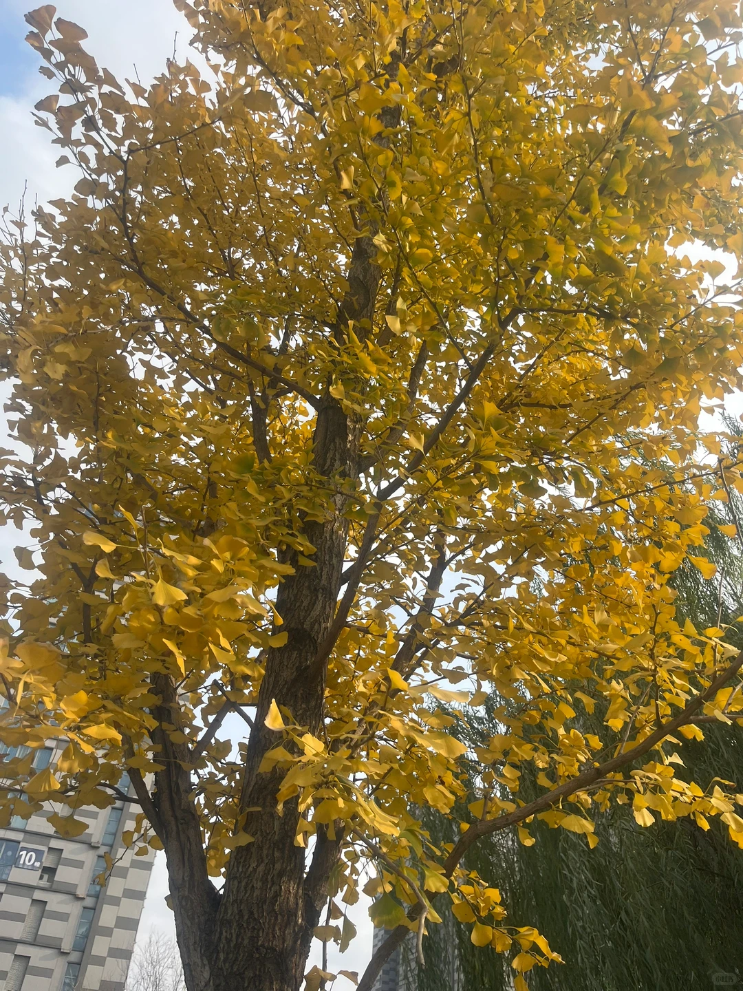 企业融资的好处