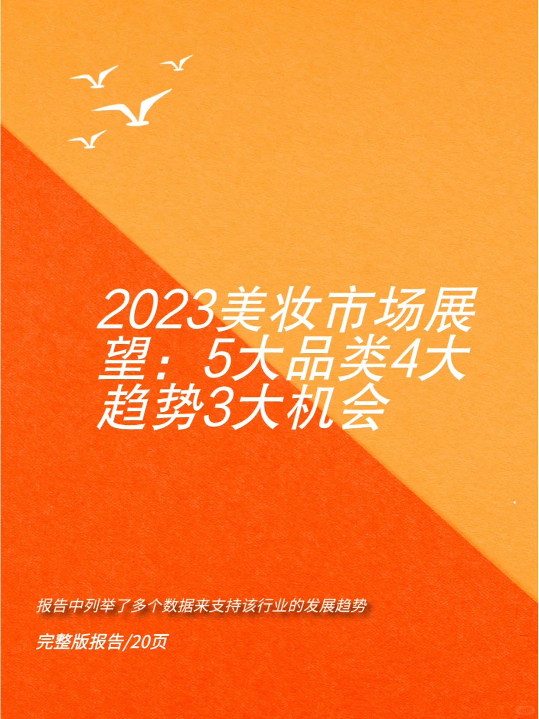2023美妆市场展望:5大品类4大趋势3大机会