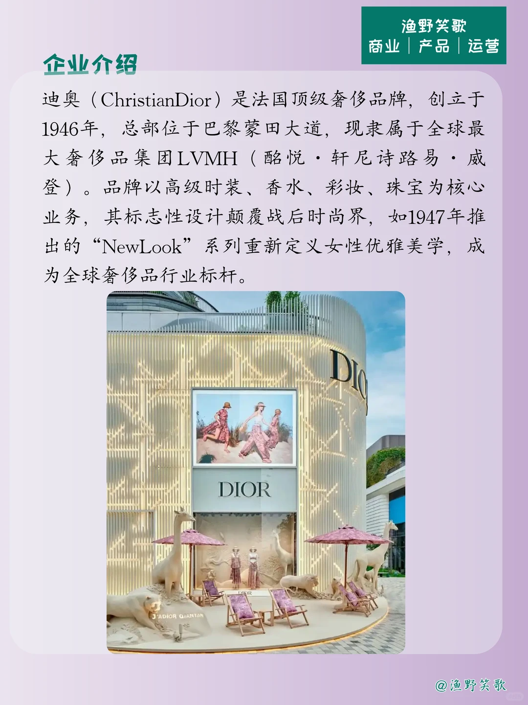 每天认识一个品牌案例,No.143:迪奥?