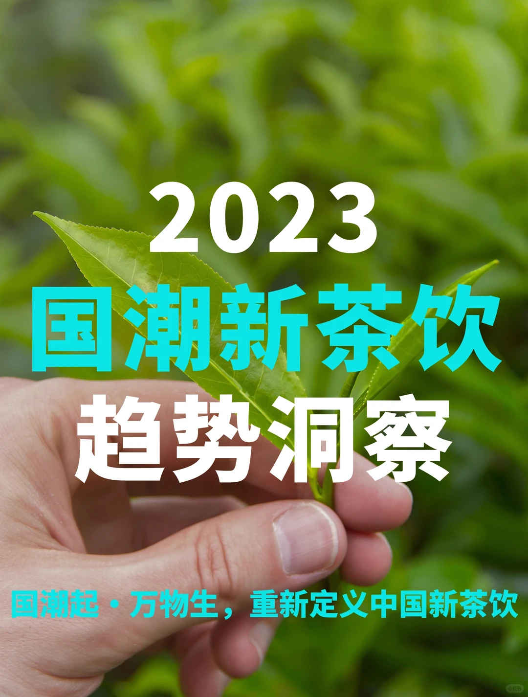 60页报告|2023国潮新茶饮趋势洞察