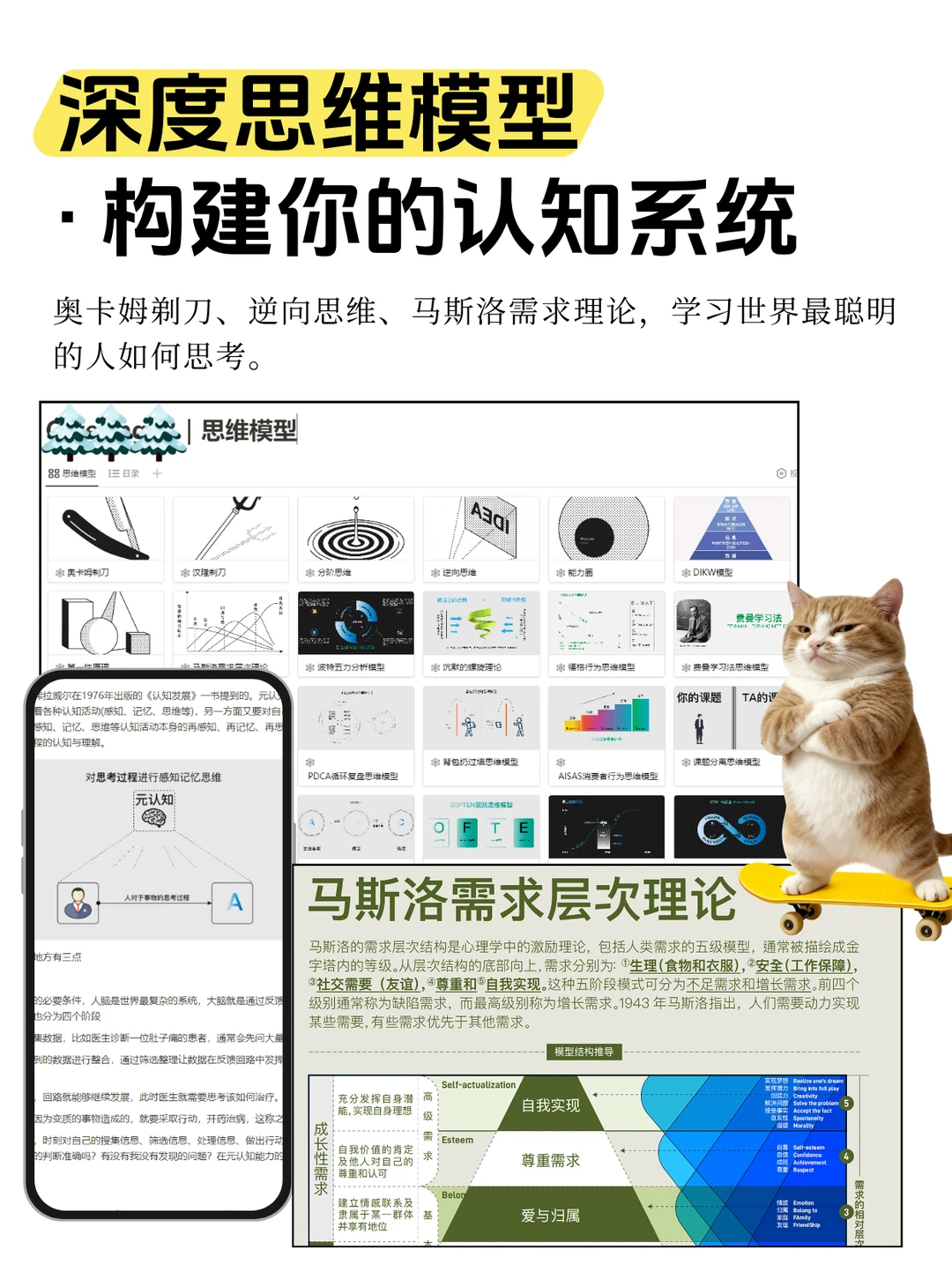 想做帆船型企业？先理清这几个增长底层逻辑