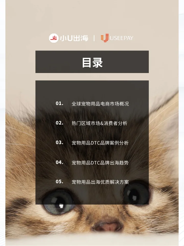 一份报告2025全球宠物⽤品电商市场情况