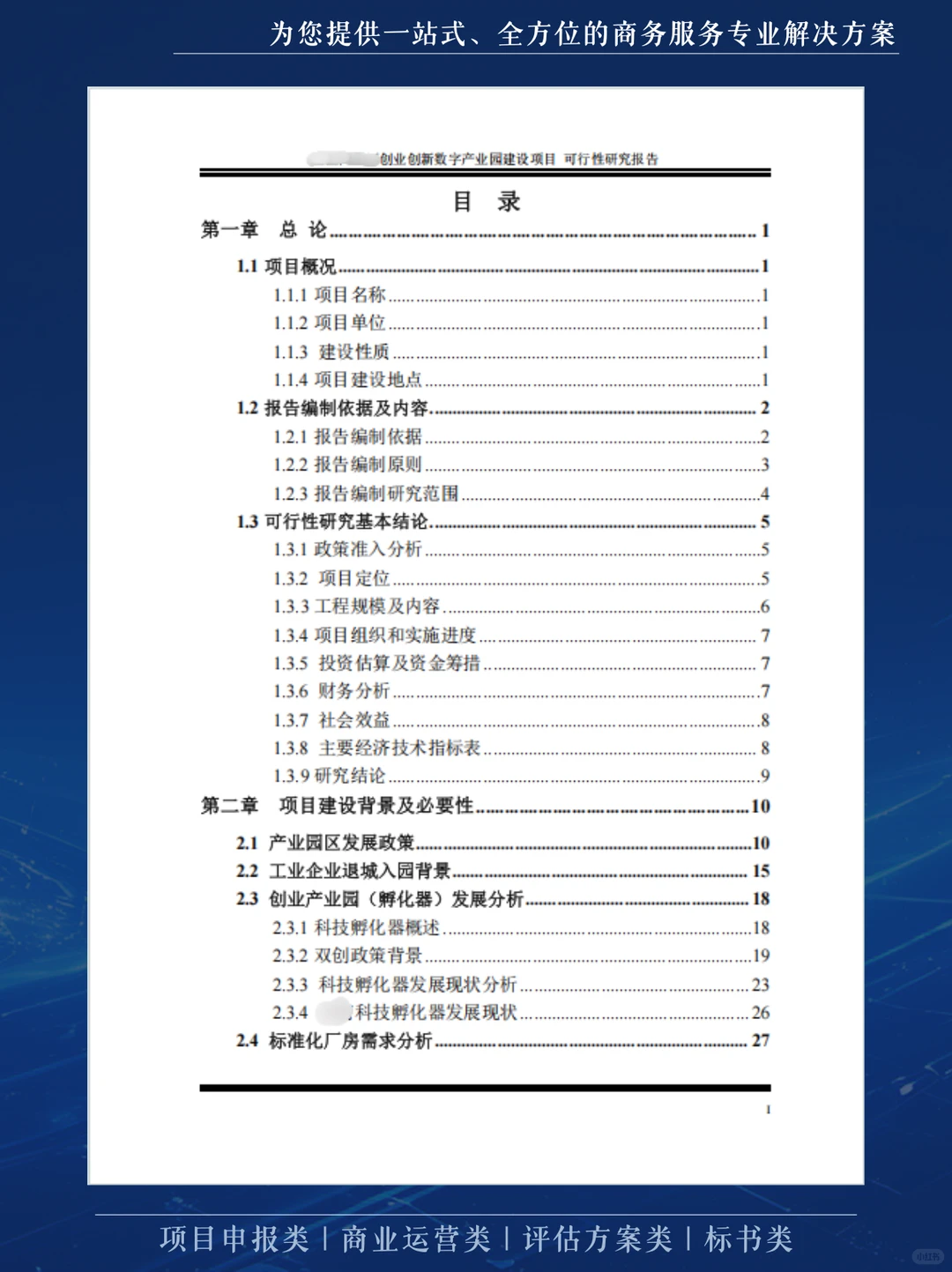 这份可行性研究报告，不仅厚而且专