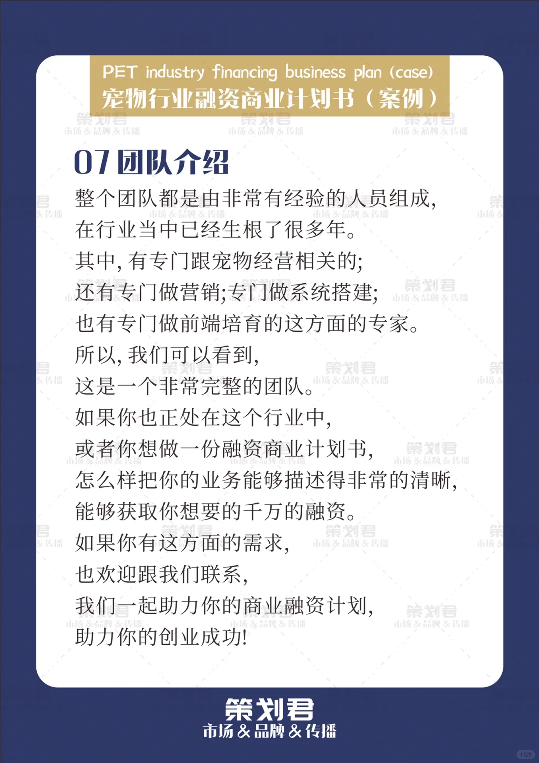 宠物行业融资商业计划书（案例）?