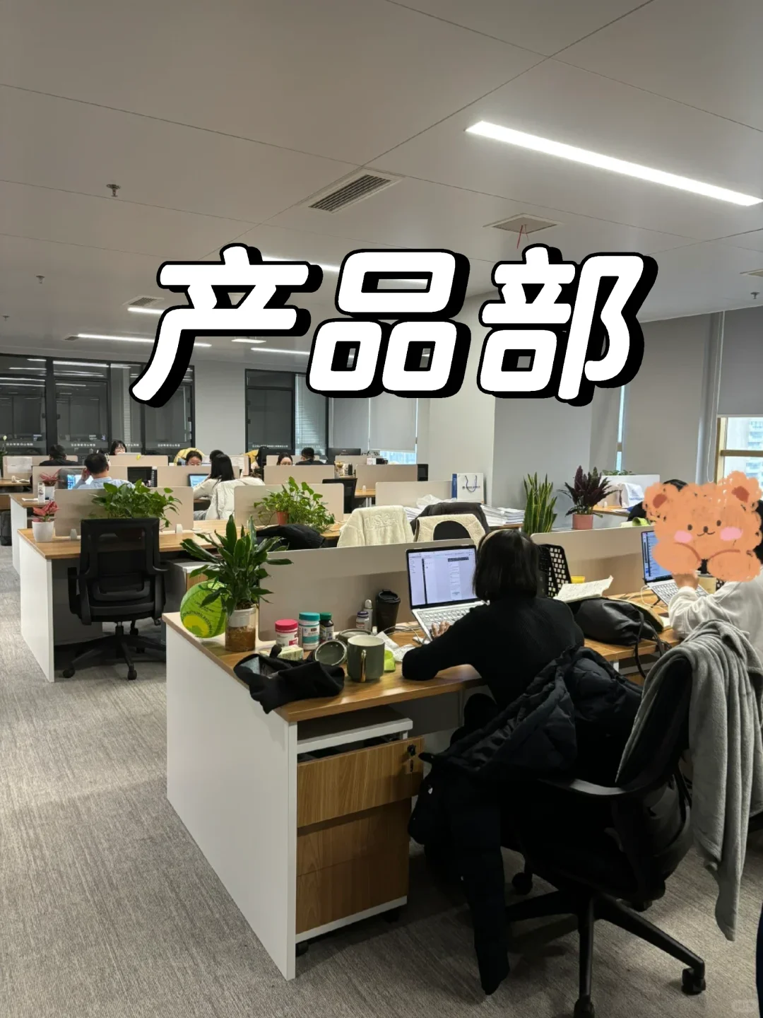 产品新人禁忌：你是来工作，不是来当学生的