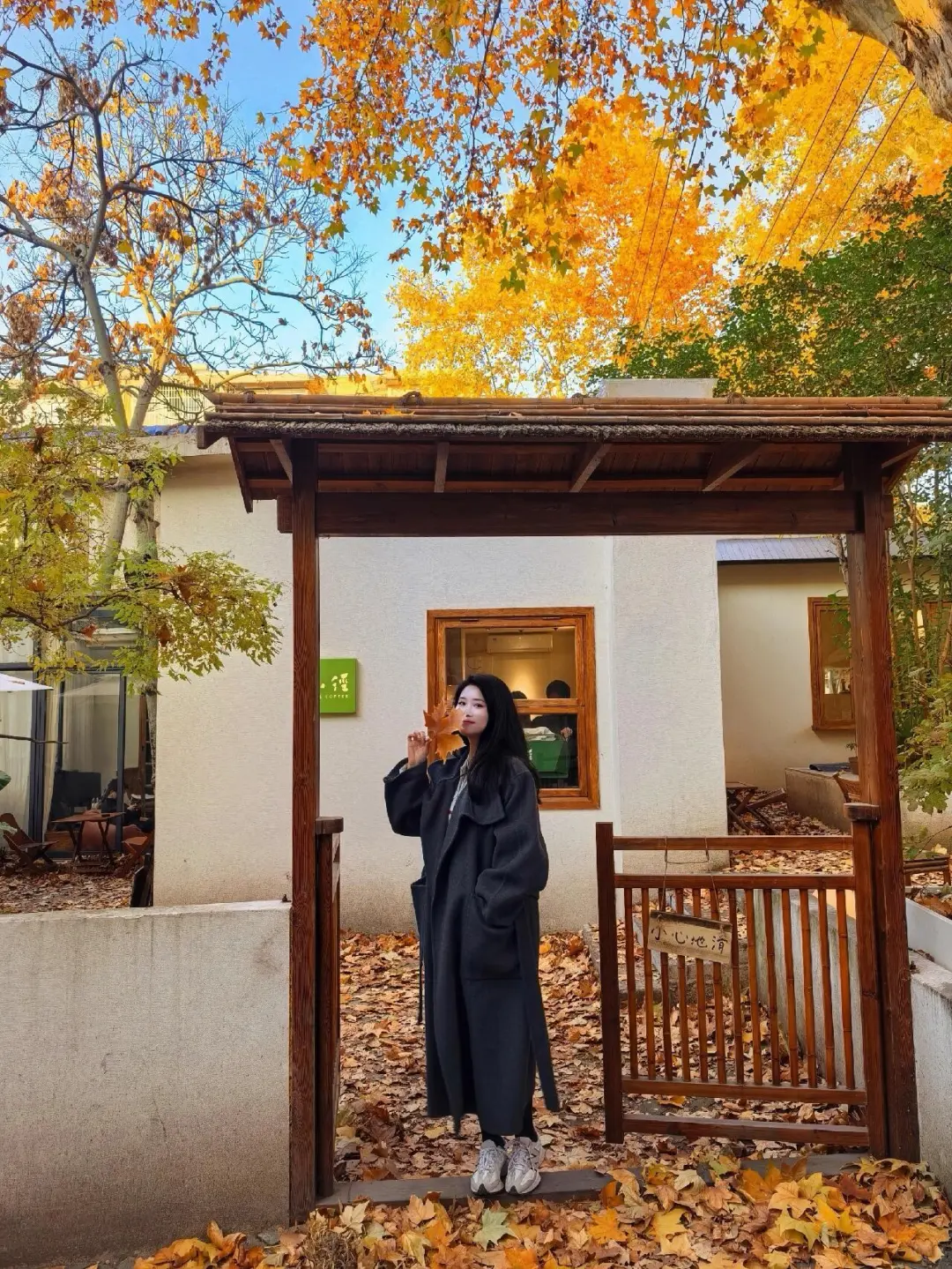 南京拍落叶的两个小众地方，太有氛围感了?