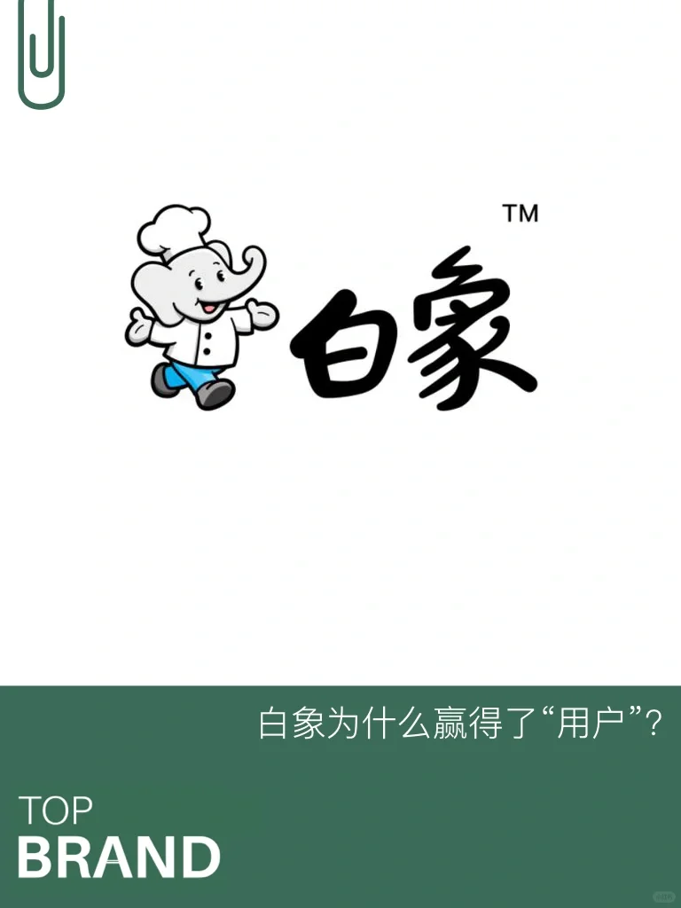 500个品牌案例｜白象