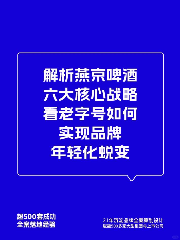 ⚡ 燕京啤酒品牌营销策略