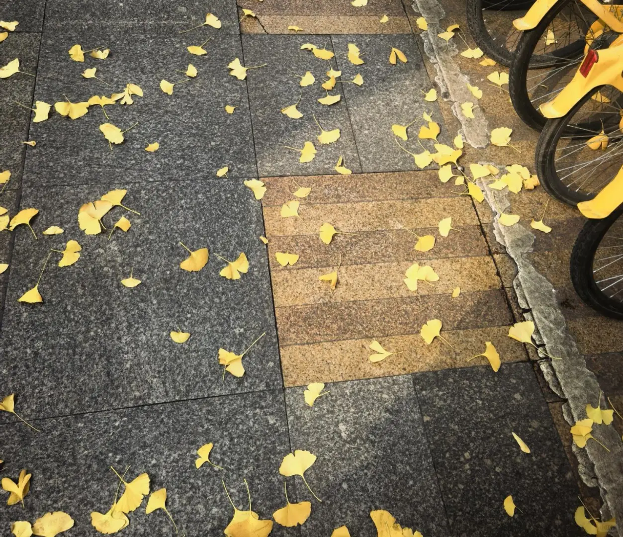 品牌在地化营销