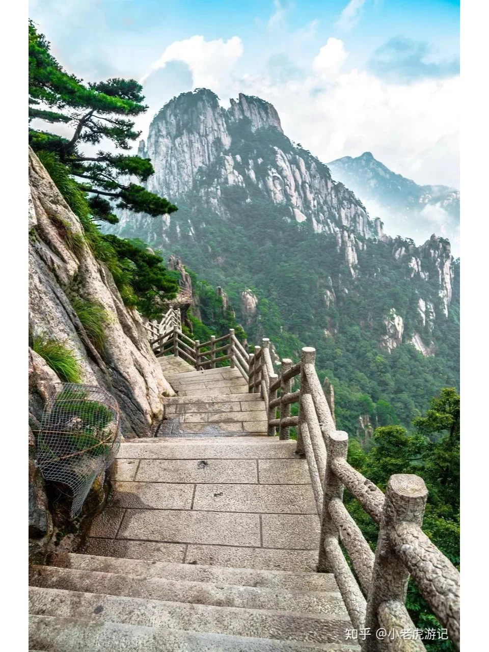 长期持股