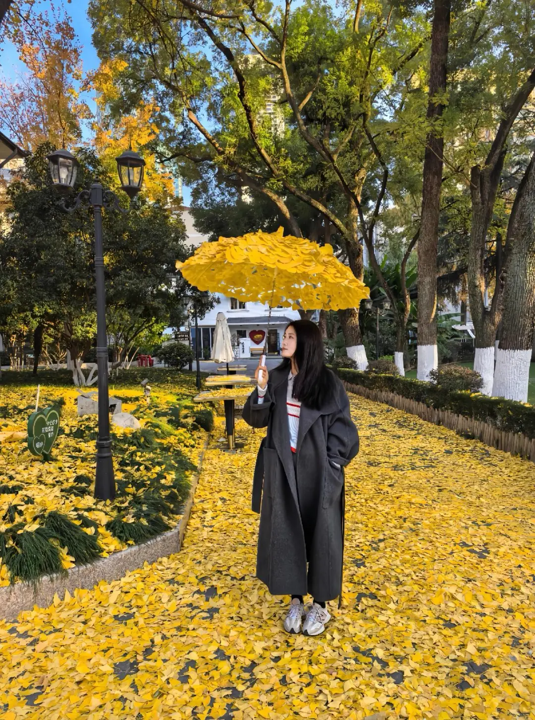 南京拍落叶的两个小众地方，太有氛围感了?