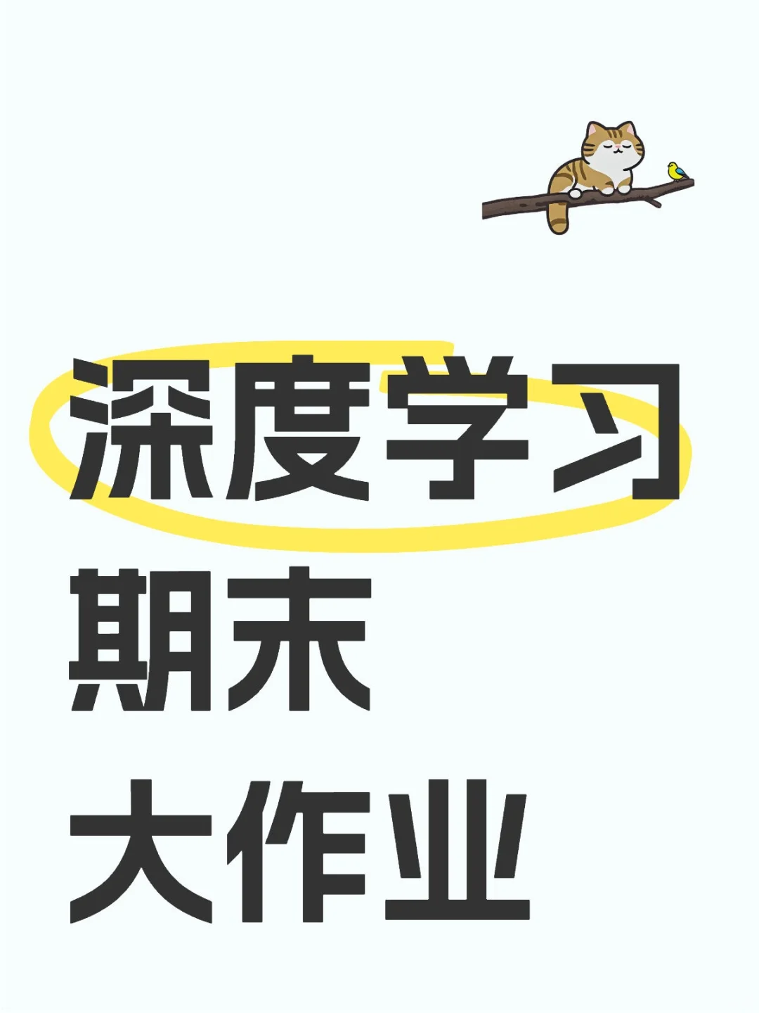 深度学习图像分类大作业