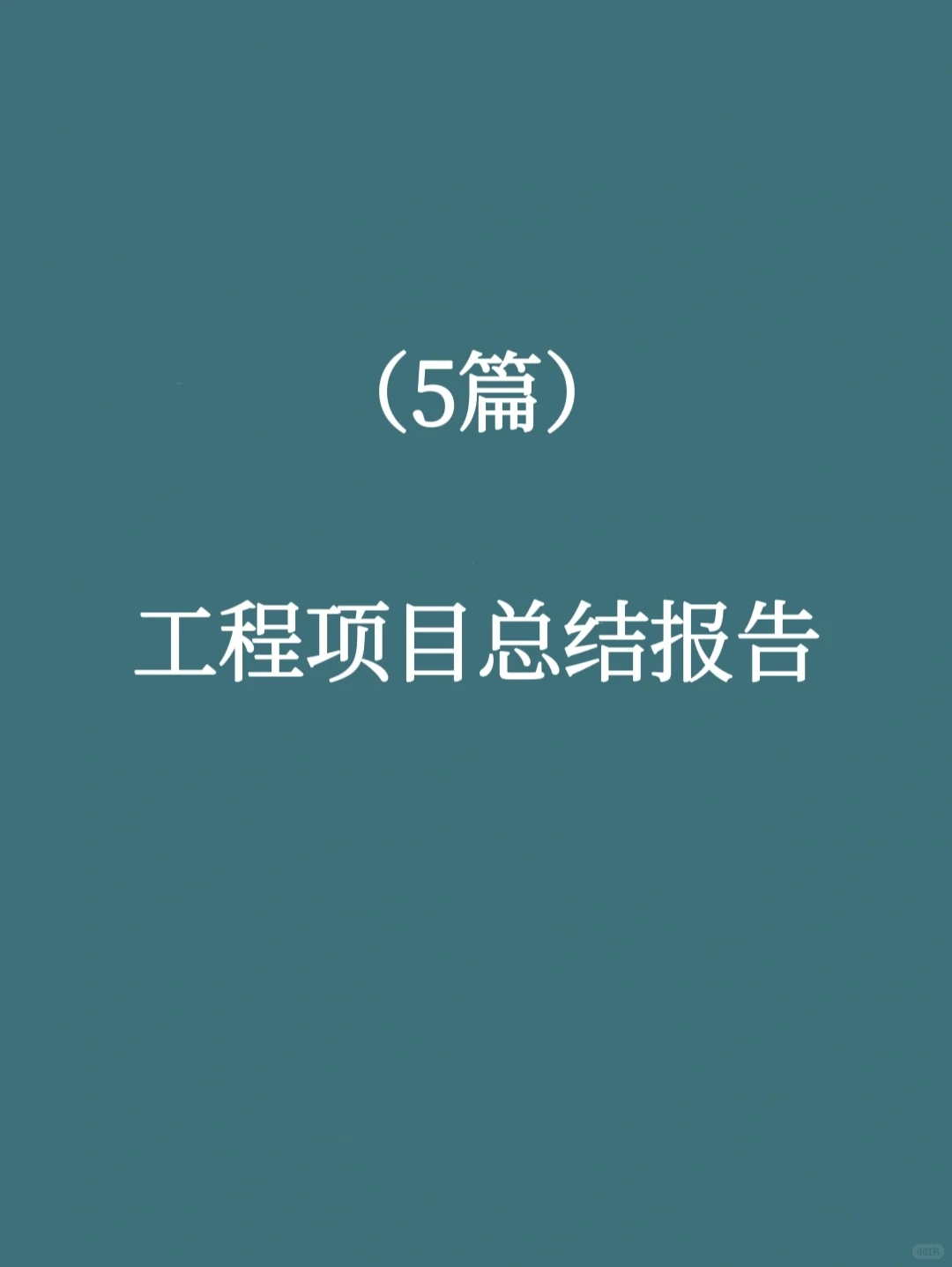 ?工程项目总结