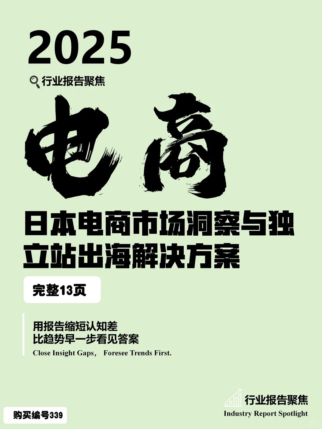 2025 日本电商独立站出海解决方案解读?