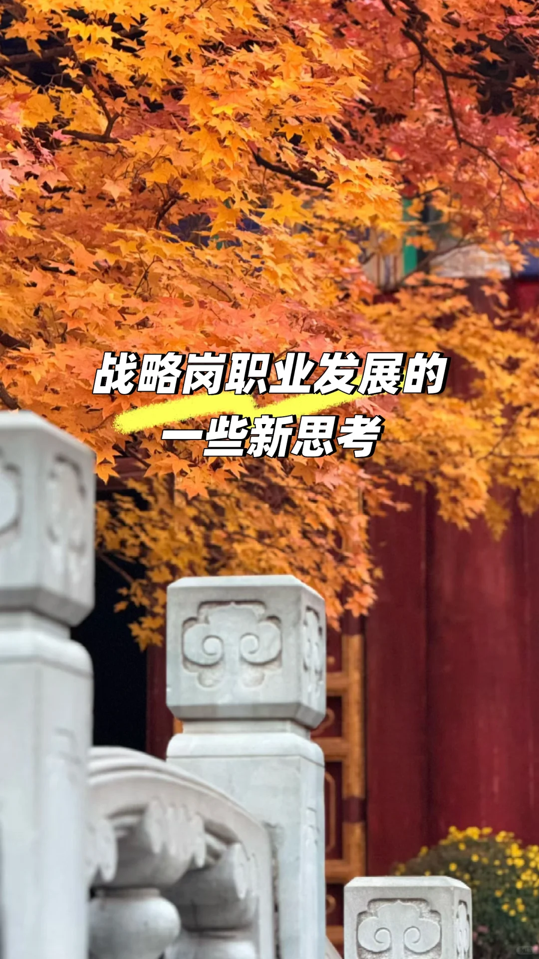 战略岗职业发展的一些新思考