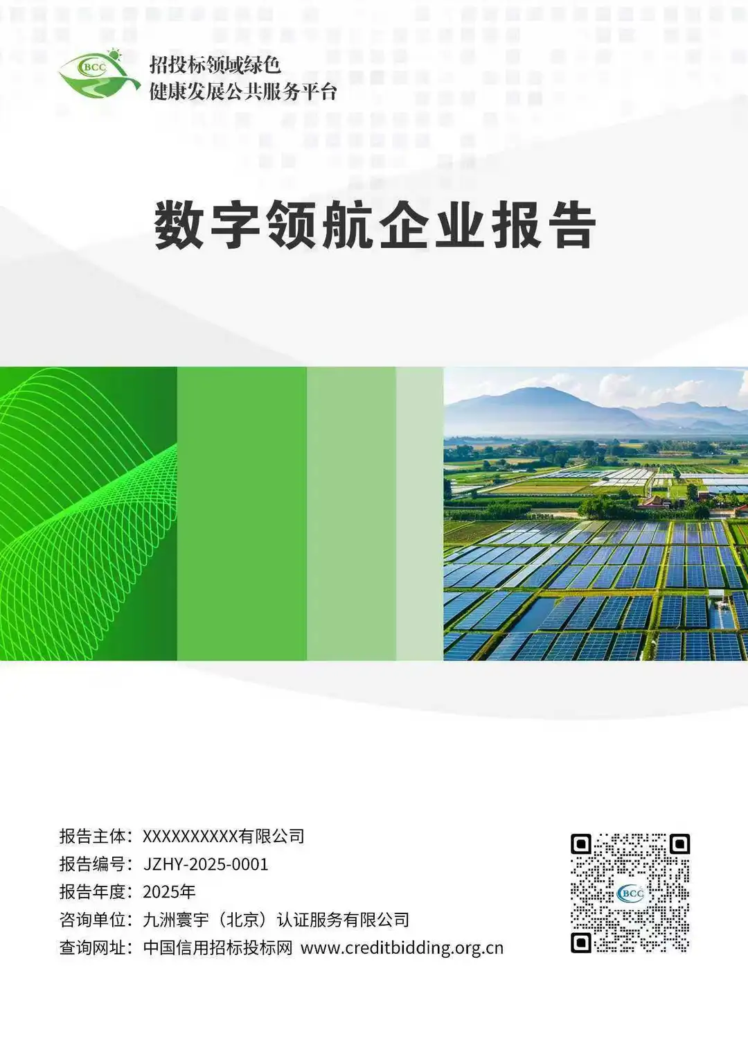 数字领航企业报告