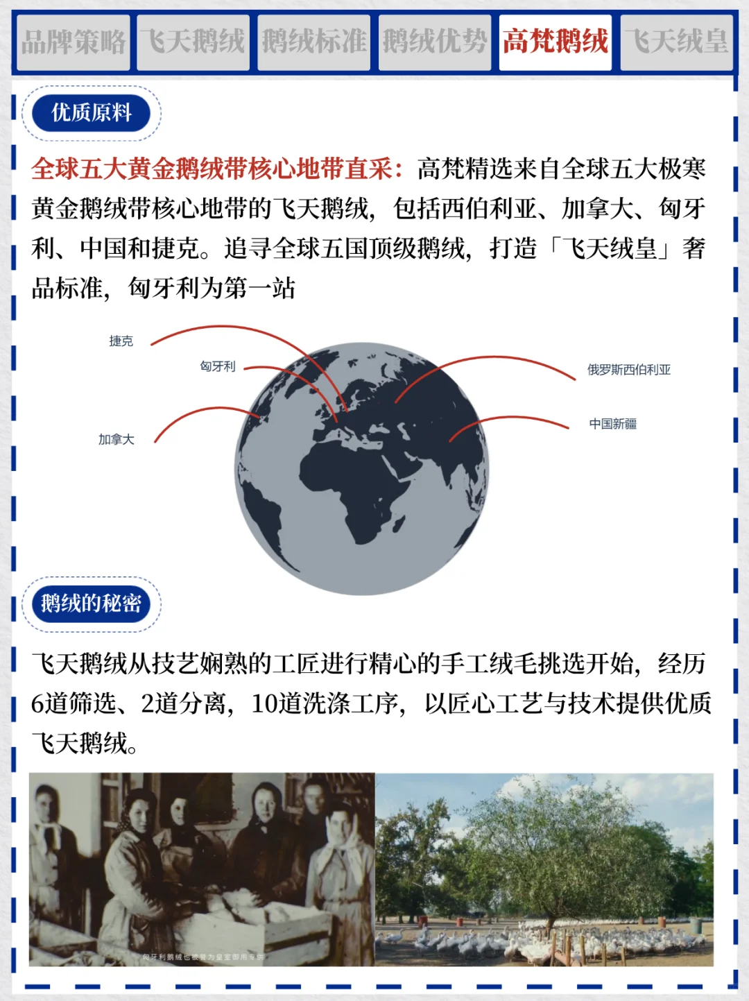 一天吃透一个商业案例 NO.1 高梵鹅绒服