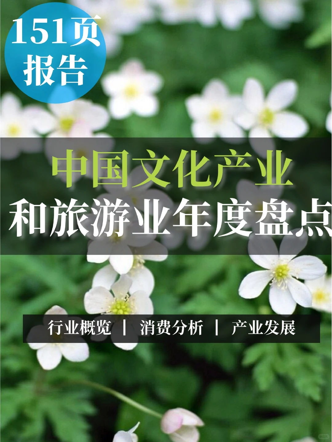 151页报告|中国文化产业和旅游业年度盘点