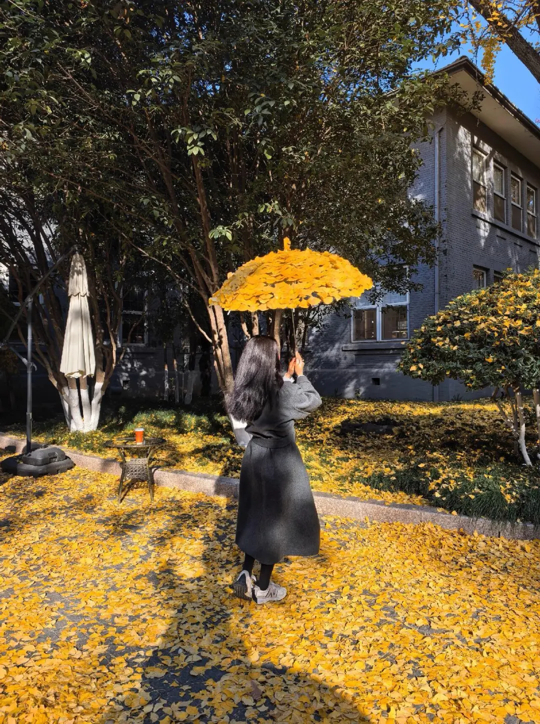 南京拍落叶的两个小众地方，太有氛围感了?