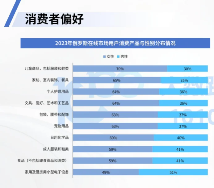 2025年俄罗斯电商市场消费者研究报告