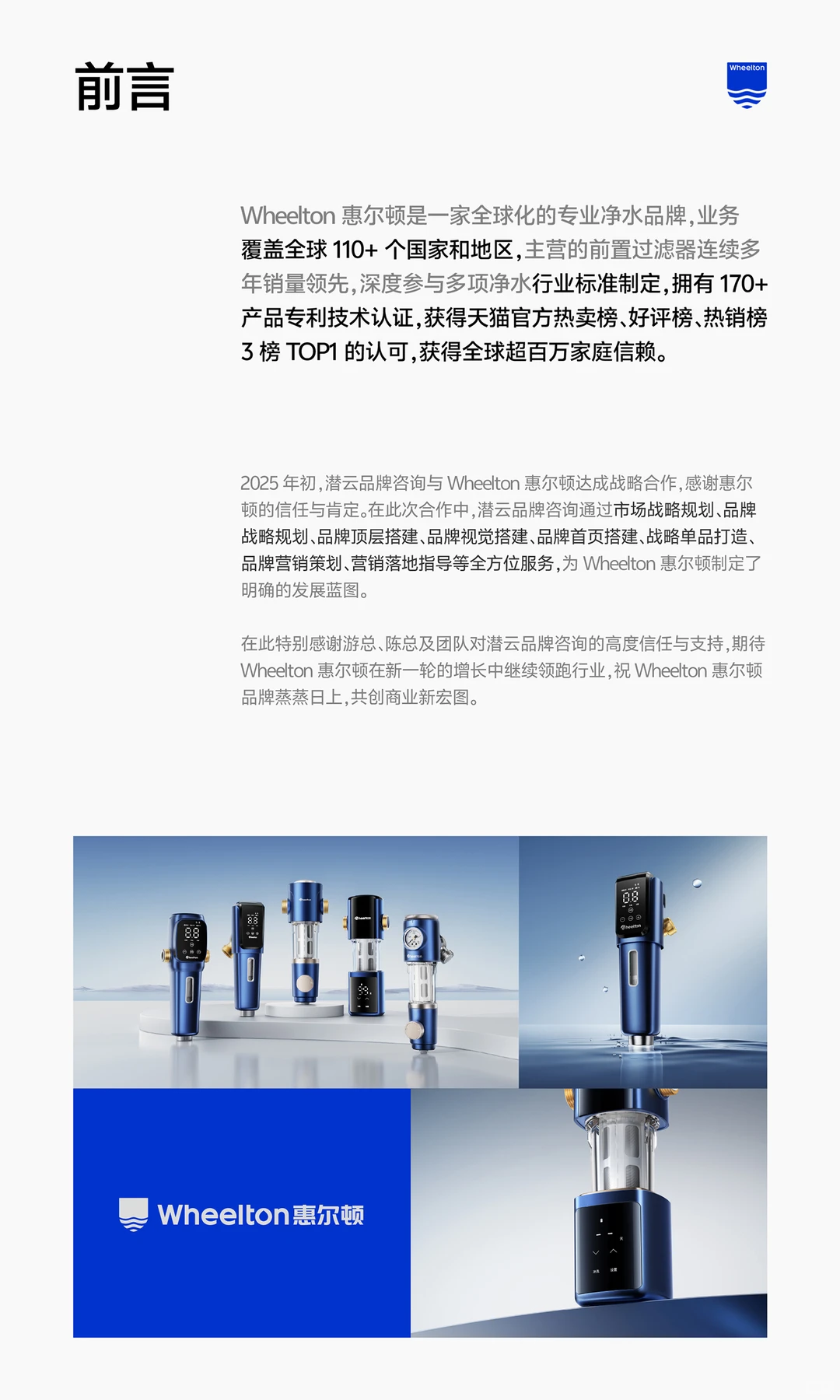 品牌战略升级全案分享(全屏版)