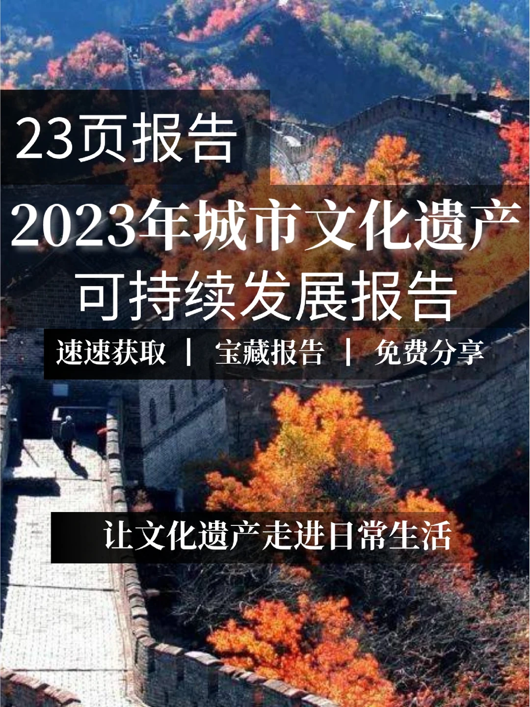 重磅报告|2023年城市文化可持续发展报告