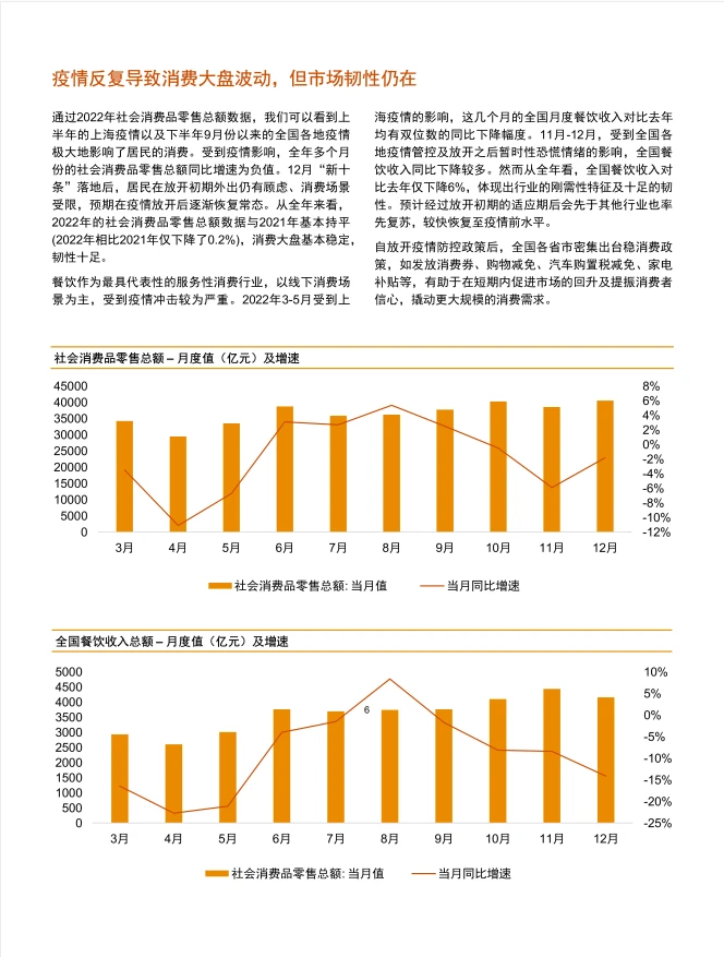 中国消费行业:2022年回顾及2023年展望