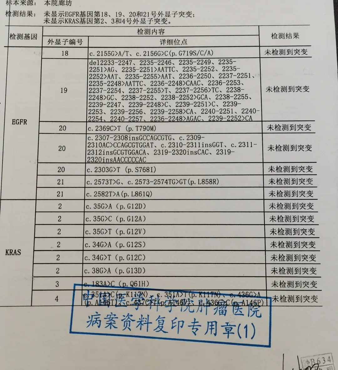 基因检测报告