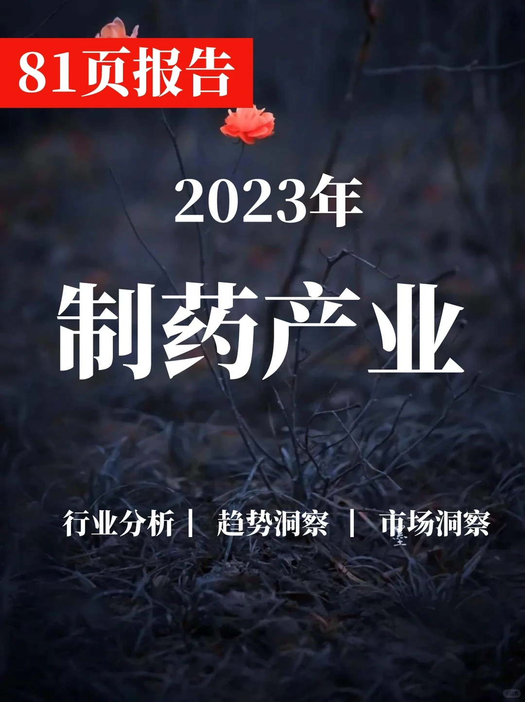 深度报告▏2023中国制药产业数智化发展