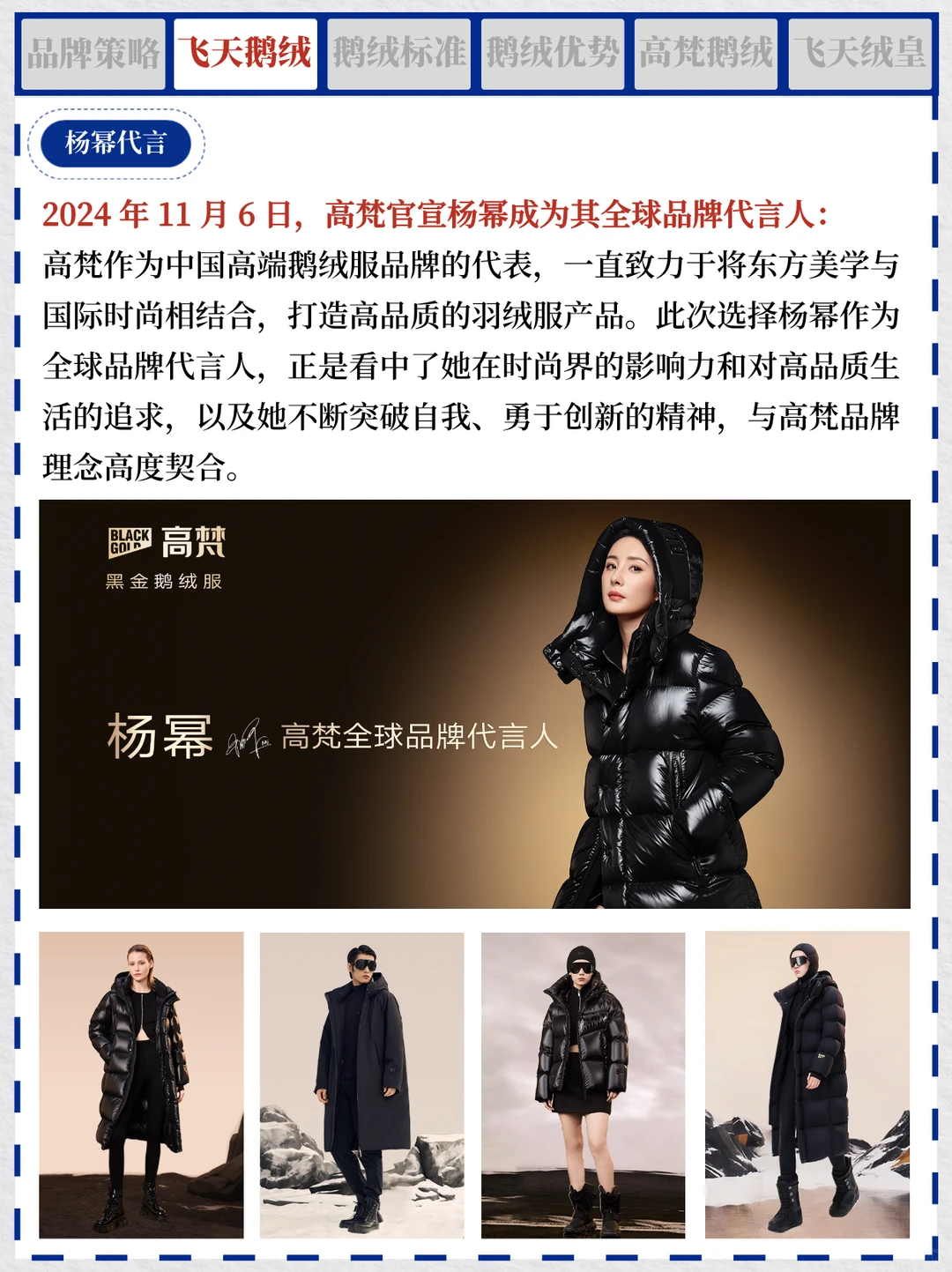 一天吃透一个商业案例 NO.1 高梵鹅绒服