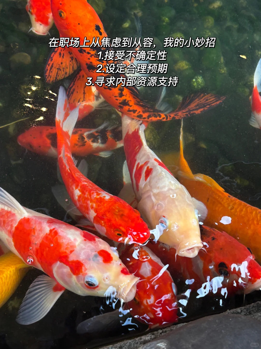 普通打工人变优秀最直接的方法