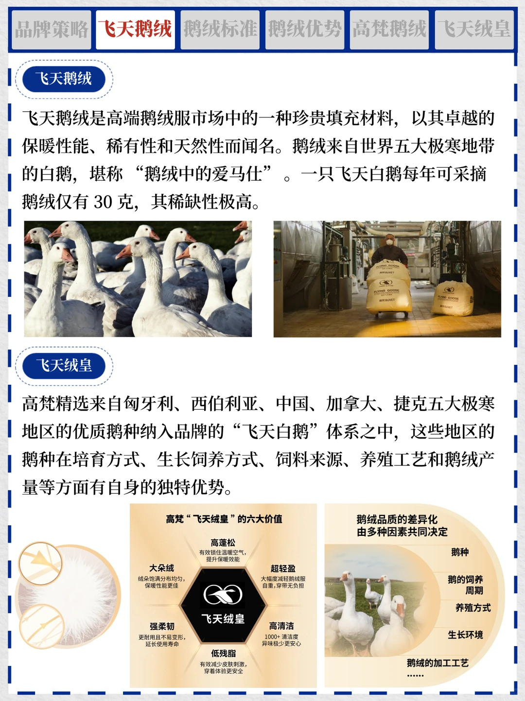一天吃透一个商业案例 NO.1 高梵鹅绒服