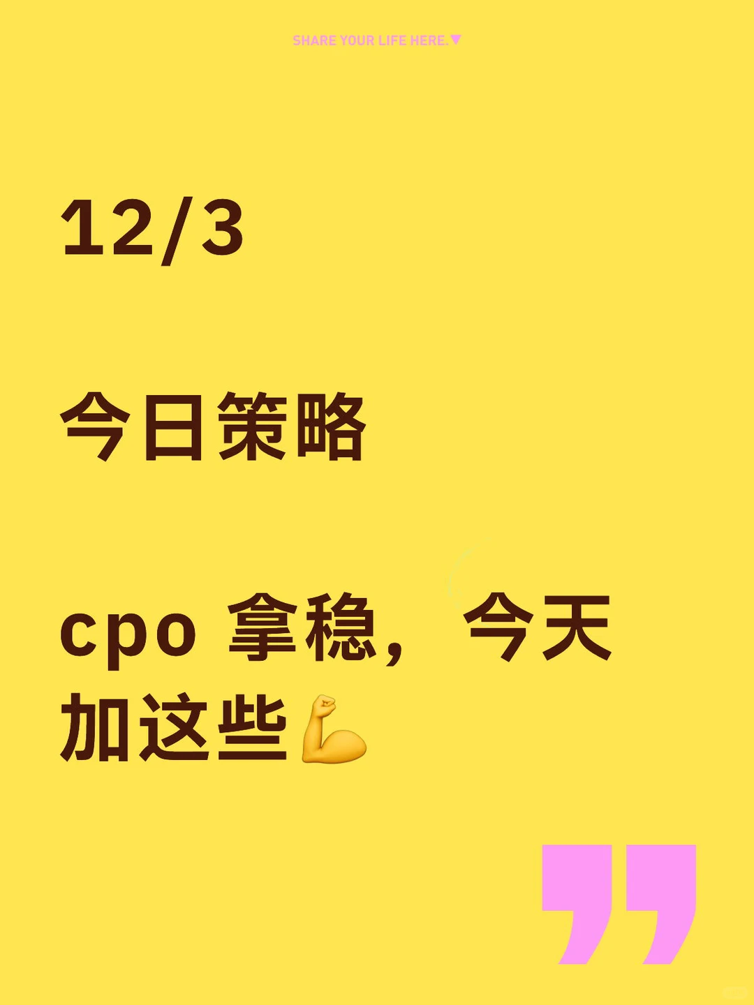 12/3 今日策略 cpo 拿稳，今天加这些?