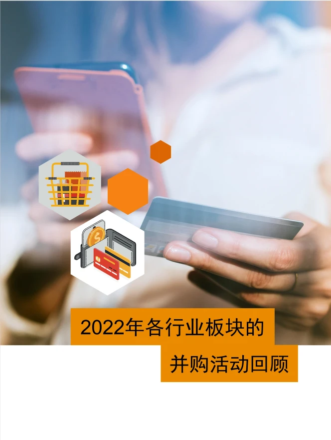 中国消费行业:2022年回顾及2023年展望