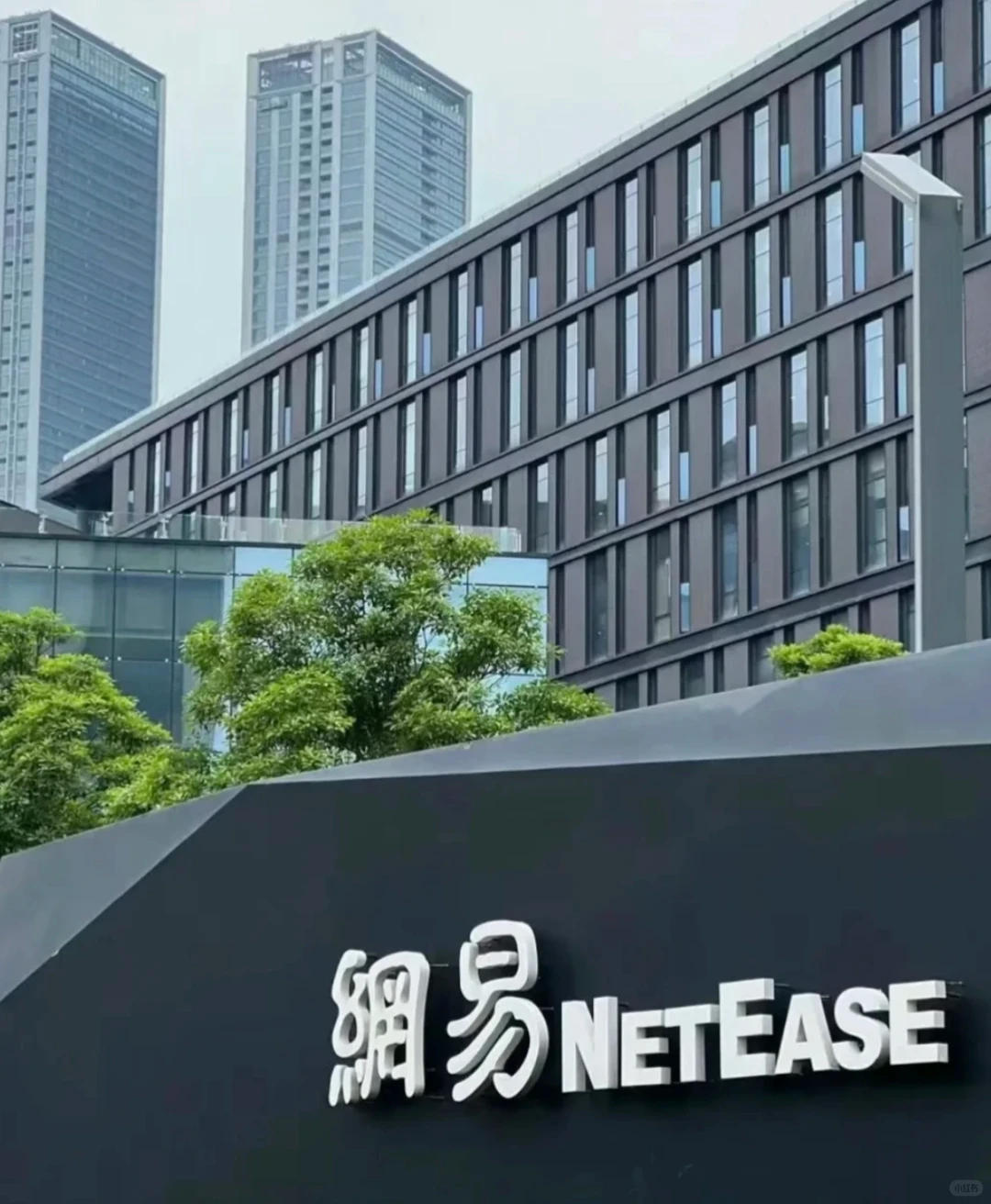 ?厂数据分析招寒假实习继任啦!