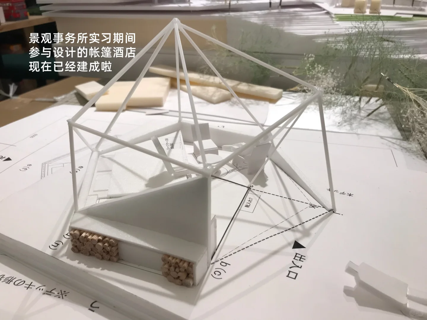 景观人的技能包,远比我们想象的值钱