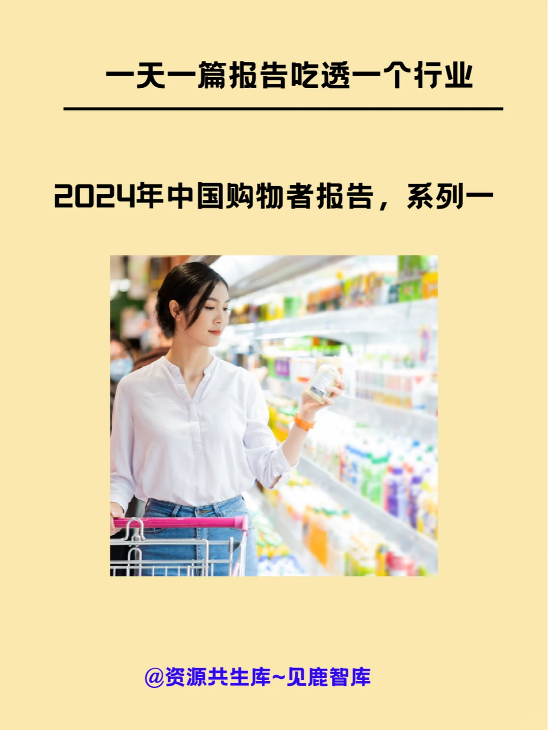 2024年中国购物者报告，系列一
