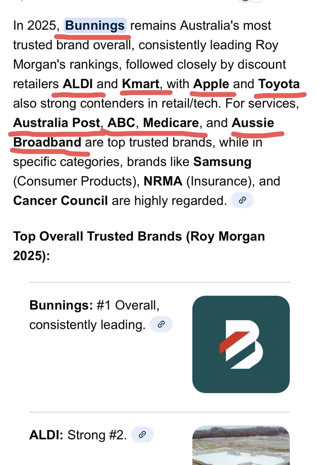 澳最受信任品牌：Bunnings霸榜一，红绿超垫底