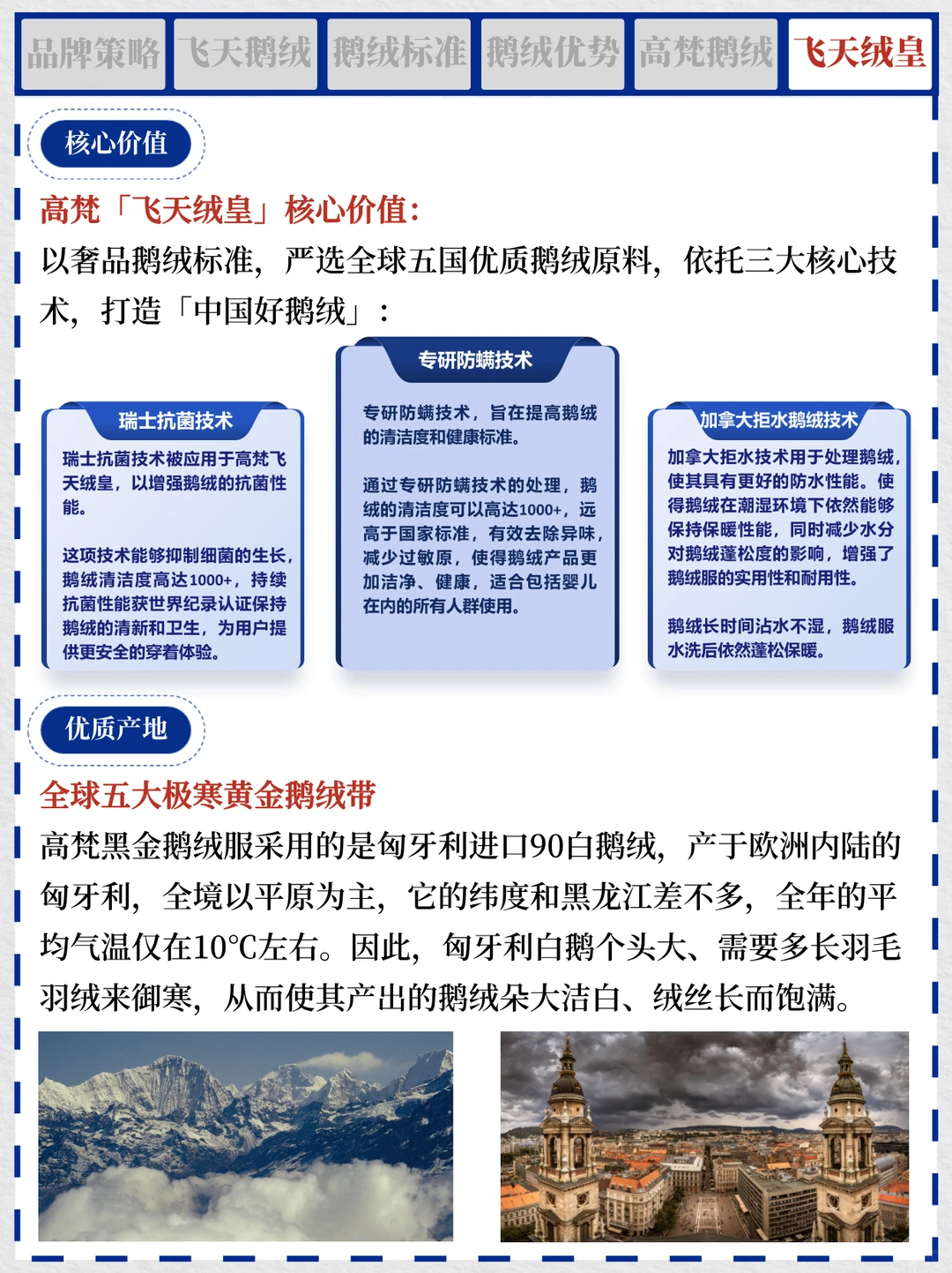 一天吃透一个商业案例 NO.1 高梵鹅绒服