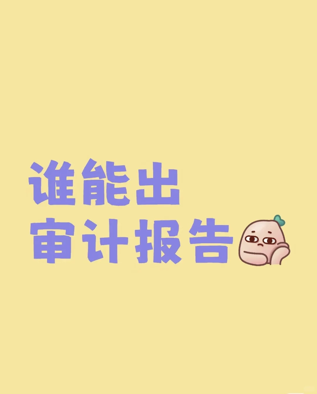 审计报告 评估报告